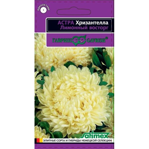 Семена астры Хризантела Лимонный захват /0,05 г/ *Гавриш*