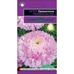 Айстра Хризантелла Рожевий захват /0,05 г/ *Гавриш*