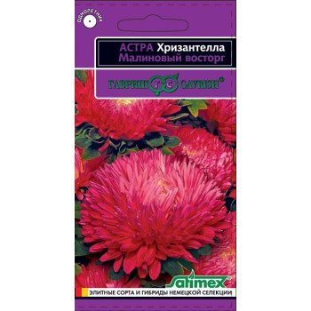 Астра Хризантелла Малиновый восторг /0,05 г/ *Гавриш*