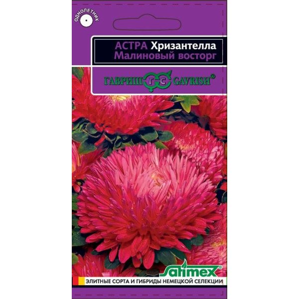 Семена астры Хризантелла Малиновый восторг /0,05 г/ *Гавриш*