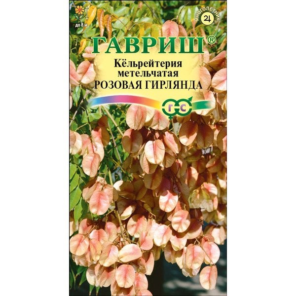 Насіння кельрейтерії Рожева гірлянда /10 насінин/ *Гавриш*
