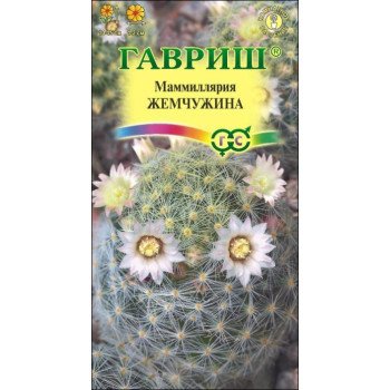 Маммиллярия шейдвелардиана Жемчужина /2 семечка/ *Гавриш*