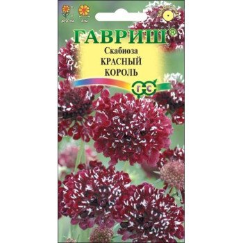 Скабиоза Красный король /6 семян/ *Гавриш*