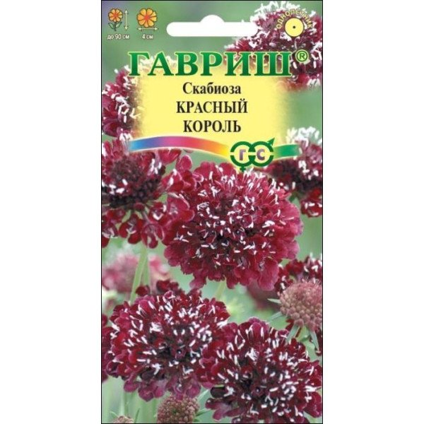 Семена скабиозы Красный король /6 семян/ *Гавриш*