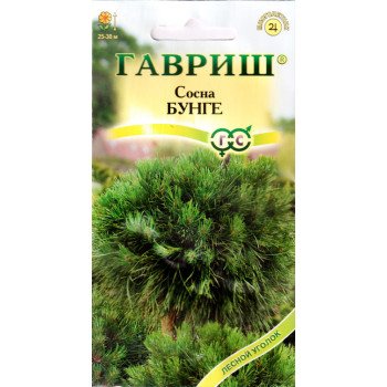 Сосна Бунге /3 семечка/ *Гавриш*