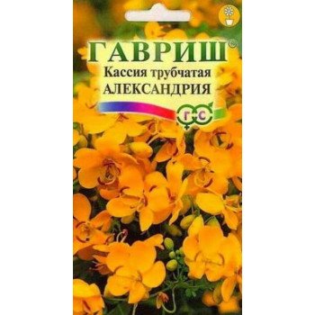 Кассия Александрия трубчатая /3 семечка/ *Гавриш*