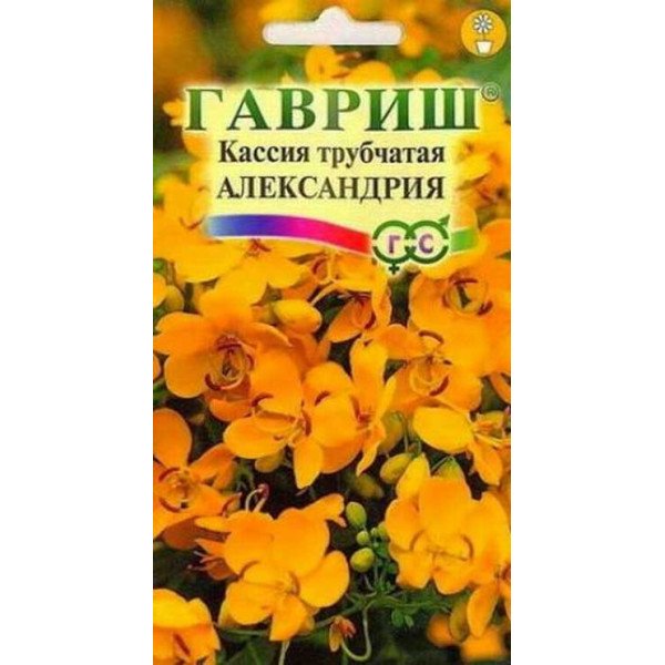 Насіння касії Олександрія трубчаста /3 насінини/ *Гавриш*