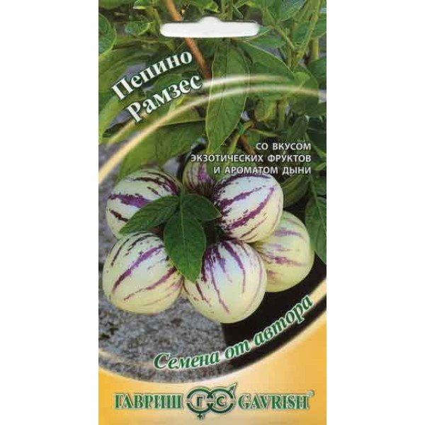 Насіння пепіно Рамзес /5 насінин/ *Гавриш*