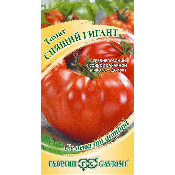 Семена томата Спящий гигант /0,1 г/ *Гавриш*