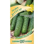 Огурец Гусар F1 /10 семян/ *Гавриш*