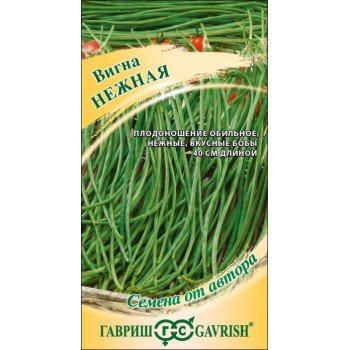 Вигна Нежная /10 семян/ *Гавриш*