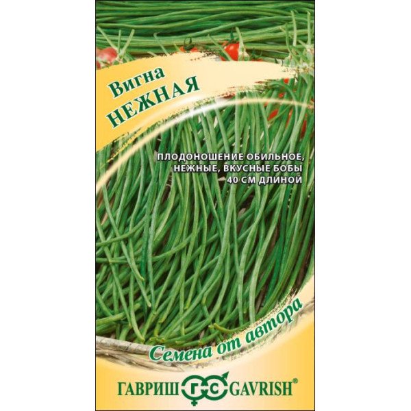 Насіння вігни Ніжна /10 насінин/ *Гавриш*
