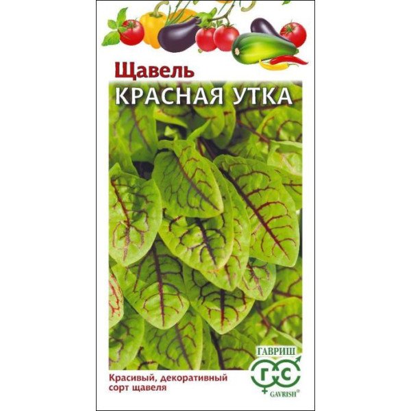 Семена щавеля Красная Утка /0,05 г/ *Гавриш*