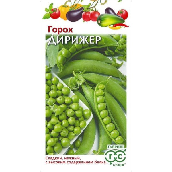 Семена гороха Дирижер /10 г/ *Гавриш*