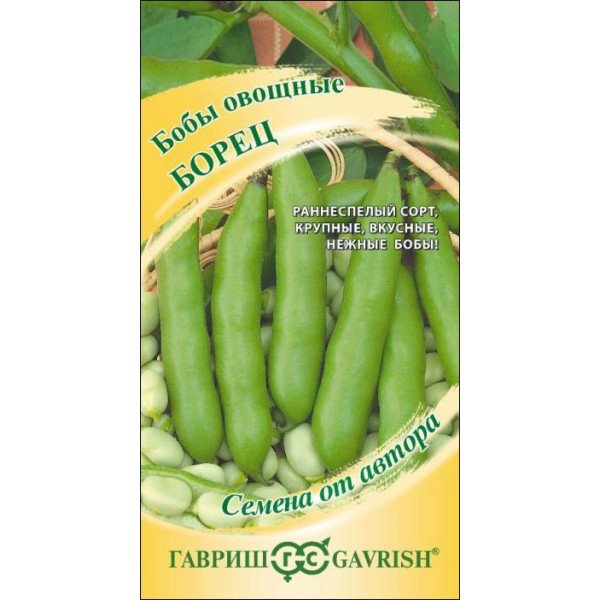 Бобы Борец /10 семян/ *Гавриш*