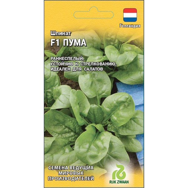 Насіння шпинату Пума F1 /1 г/ *Гавриш*