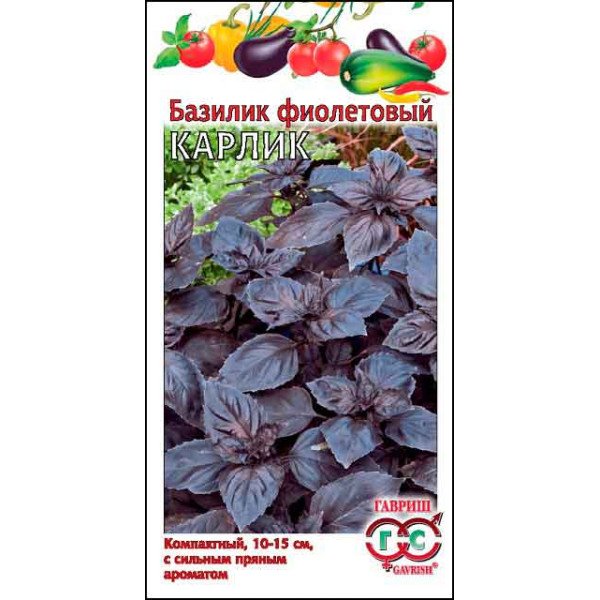 Семена базилика Карлик фиолетовый /0,3 г/ *Гавриш*