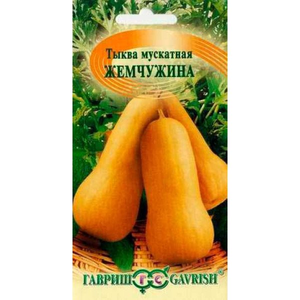 Семена тыквы мускатная Жемчужина /1 г/ *Гавриш*