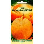 Гарбуз Кущовий помаранчевий /1 г/ *Гавриш*