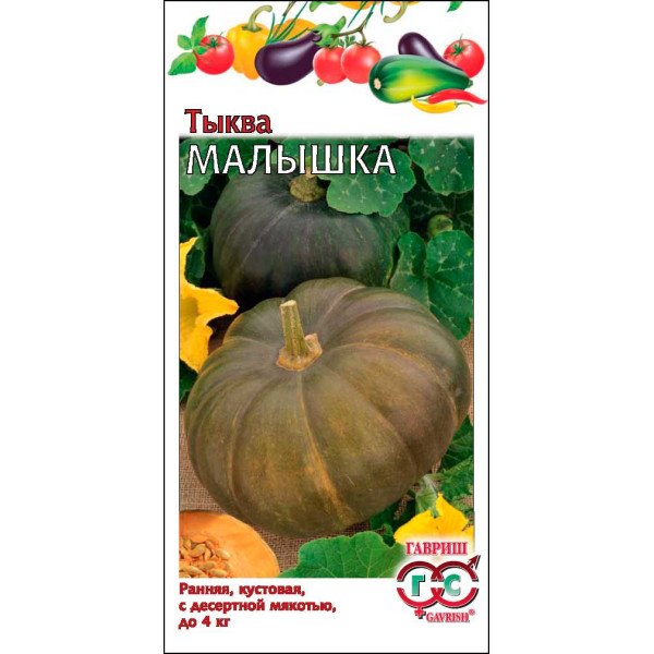 Семена тыквы Малышка /1 г/ *Гавриш*