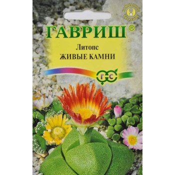 Литопс Живые Камни /5 семян/ *Гавриш*