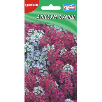 Аліссум суміш /400 насінин/ *Геліос*