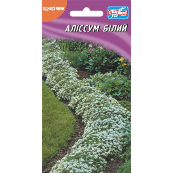 Насіння аліссуму білий /500 насінин/ *Геліос*
