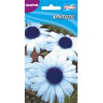 Арктотис /15 насінин/ *Геліос*