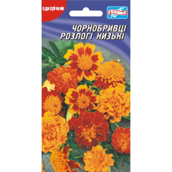 Насіння чорнобривців розлогі низькі суміш /50 насінин/ *Геліос*