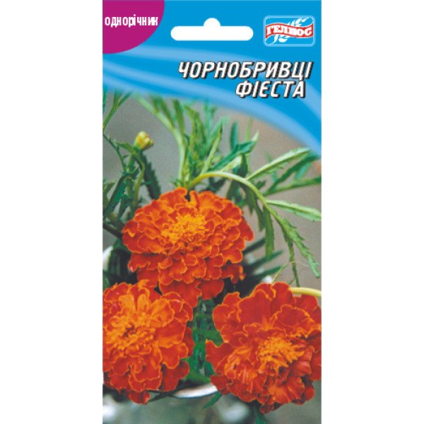 Насіння чорнобривців Фіеста /50 насінин/ *Геліос*