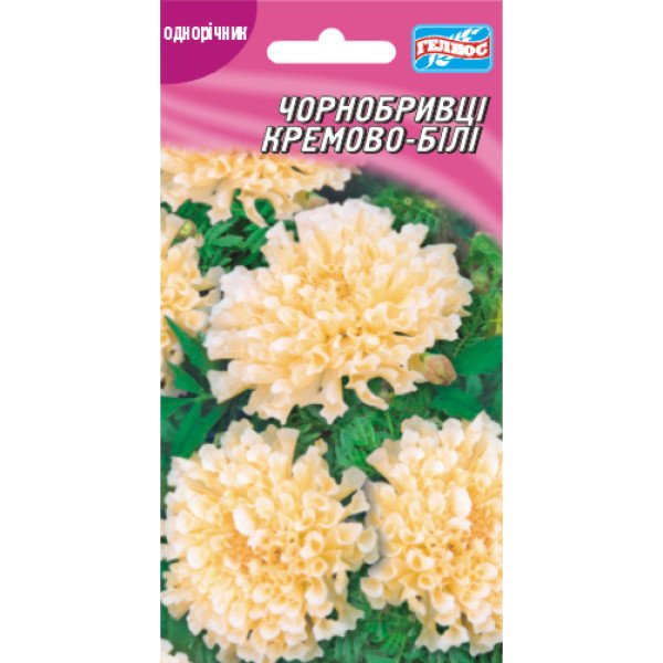 Насіння чорнобривців кремово-білих /30 насінин/ *Геліос*