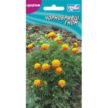 Чорнобривці Гном /50 насінин/ *Геліос*