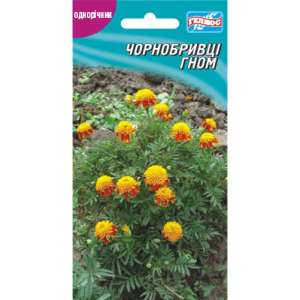 Семена бархатцев Гном /50 семян/ *Гелиос*