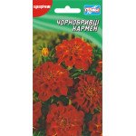 Бархатцы Кармен /50 семян/ *Гелиос*