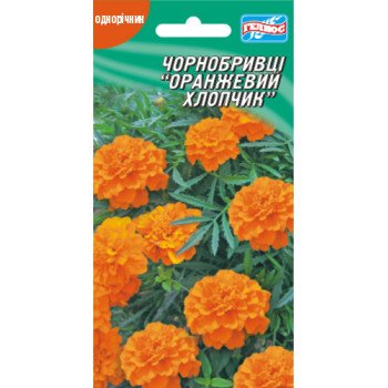 Бархатцы Оранжевый мальчик /50 семян/ *Гелиос*