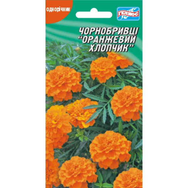 Семена бархатцев Оранжевый мальчик /50 семян/ *Гелиос*