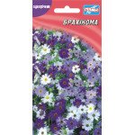 Брахікома /0,1 г/ *Геліос*