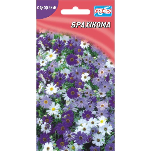 Семена брахикомы /0,1 г/ *Гелиос*