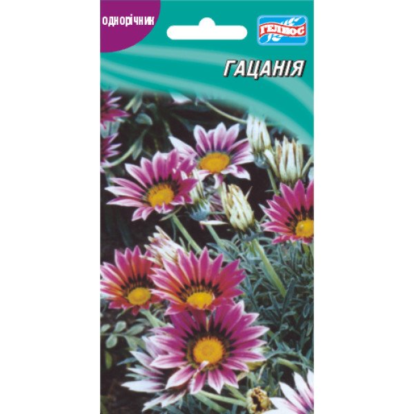 Насіння гацанії /30 насінин/ *Геліос*