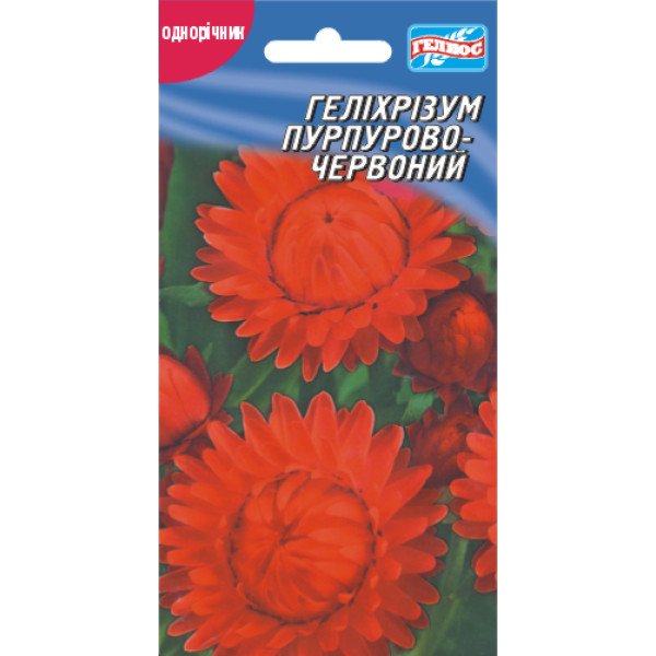 Семена гелихризума Пурпурно-красный /0,15 г/ *Гелиос*