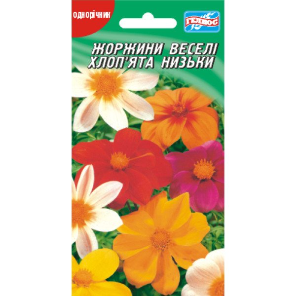 Насіння жоржини Веселі хлопці низька суміш /20 насіння/ *Геліос*