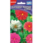 Жоржина Махрова суміш /20 насінин/ *Геліос*