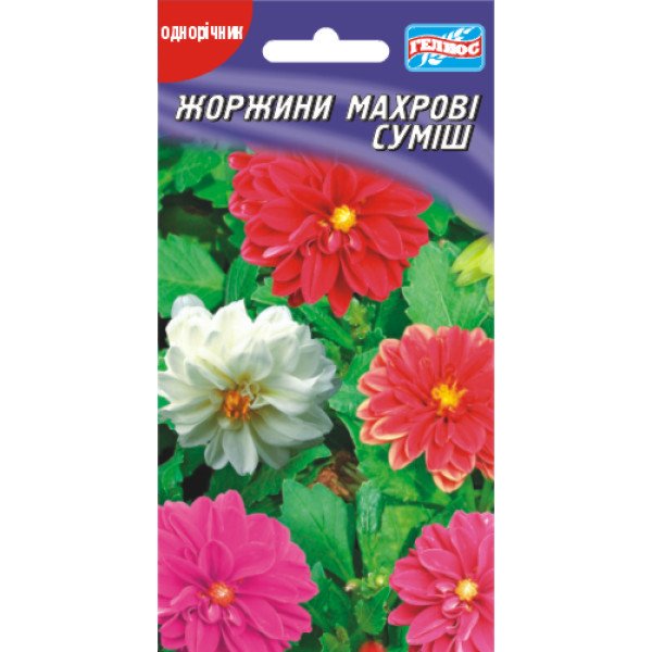 Семена георгины Махровая смесь /20 семян/ *Гелиос*