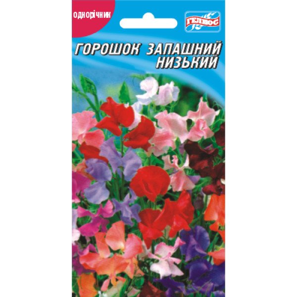 Насіння горошку запашне низьке /10 насінин/ *Геліос*