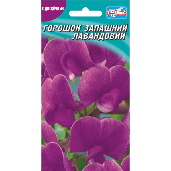 Семена горошка душистый лавандовый /10 семян/ *Гелиос*