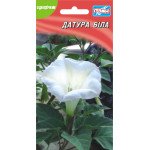 Датура белая /20 семян/ *Гелиос*