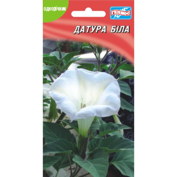 Насіння датури біле /20 насінин/ *Геліос*