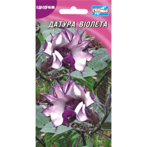 Насіння датур Віолетта /3 насінини/ *Геліос*