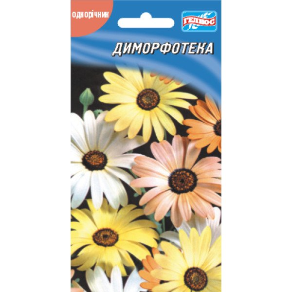 Семена диморфотеки (ромашка разноцветная) 30 семян Гелиос*