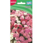 Іберіс /0,5 г/ *Геліос*